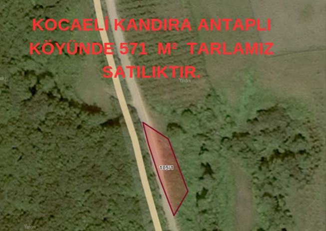 KOCAELİ KANDIRA ANTAPLI KÖYÜNDE 571  M²  TARLAMIZ SATILIKTIR. - KOCAELİ KANDIRA fotoğraf 3
